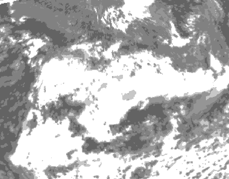 GDPS total cloud 240 hour forecast chart for Canada based on 2025/06/30 1200Z data