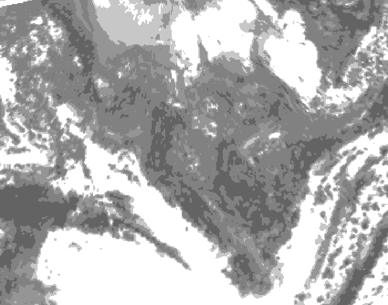 GDPS total cloud 192 hour forecast chart for Canada based on 2025/10/25 1200Z data