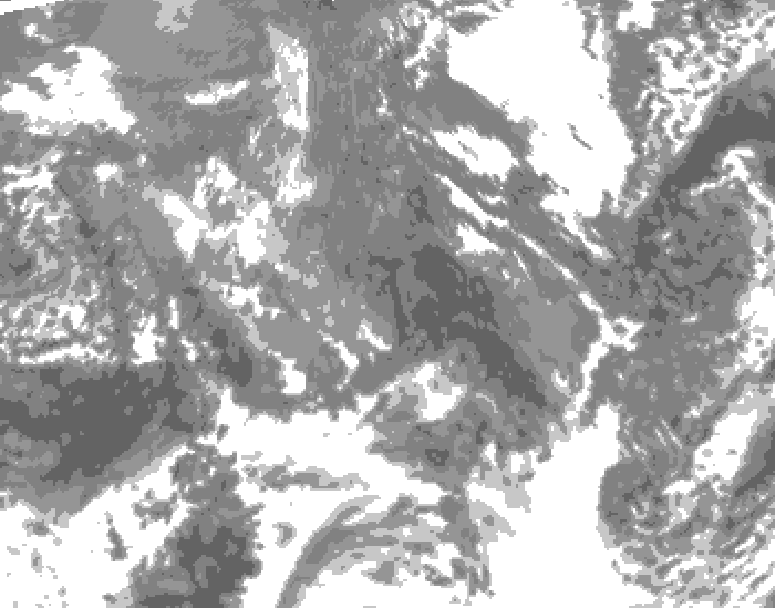 GDPS total cloud 222 hour forecast chart for Canada based on 2025/11/06 1200Z data