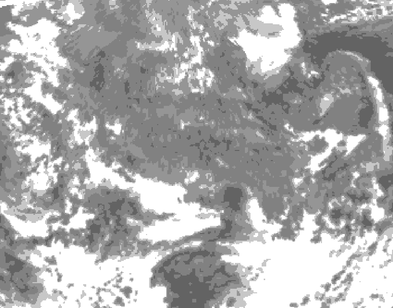 GDPS total cloud 024 hour forecast chart for Canada based on 2025/11/23 1200Z data