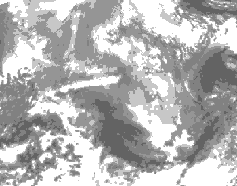 GDPS total cloud 048 hour forecast chart for Canada based on 2025/12/24 0000Z data