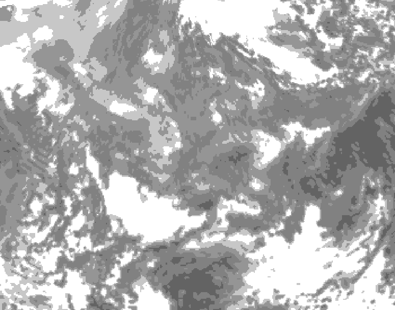 GDPS total cloud 048 hour forecast chart for Canada based on 2026/01/06 1200Z data