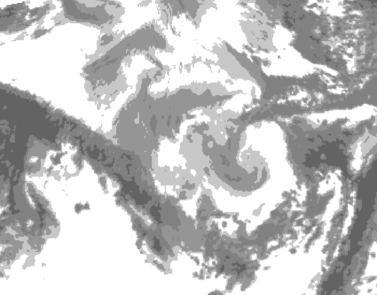 GDPS total cloud 228 hour forecast chart for Canada based on 2026/01/08 1200Z data
