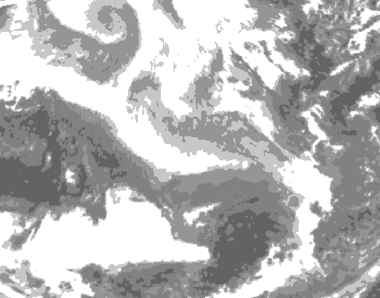 GDPS total cloud 228 hour forecast chart for Canada based on 2026/01/13 1200Z data