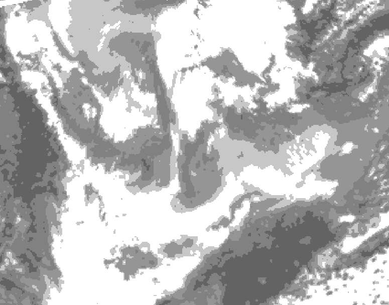 GDPS total cloud 042 hour forecast chart for Canada based on 2026/01/24 0000Z data