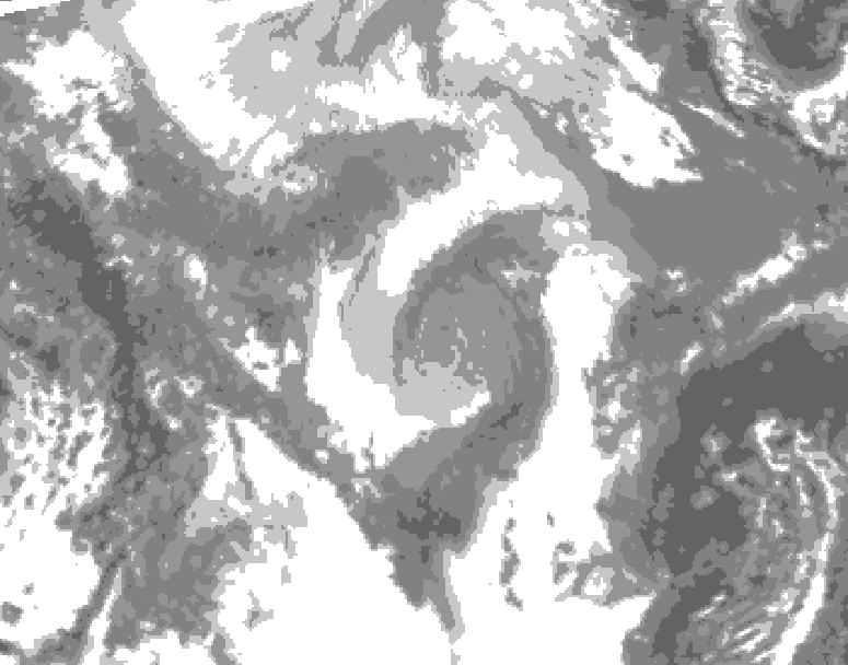 GDPS total cloud 132 hour forecast chart for Canada based on 2026/01/27 1200Z data