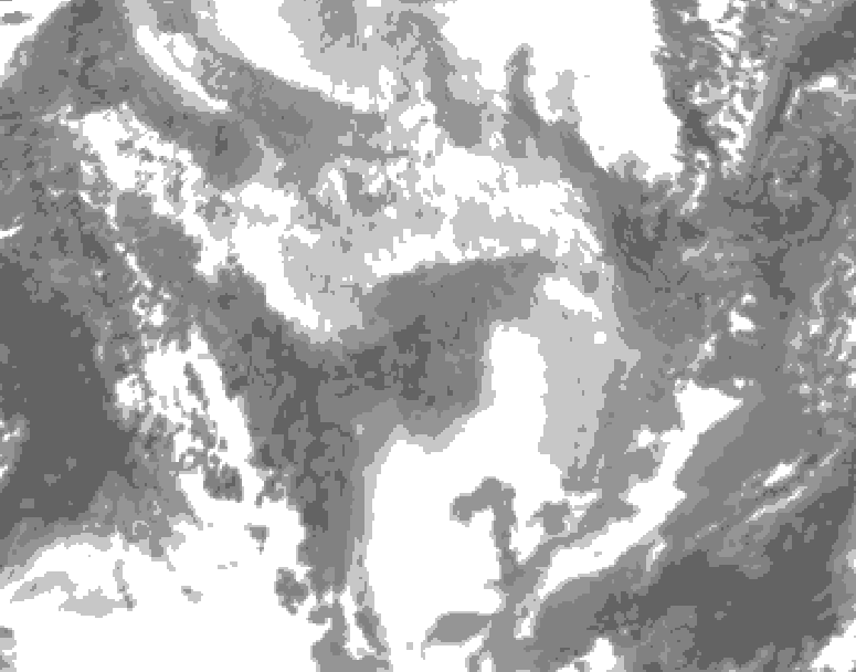 GDPS total cloud 048 hour forecast chart for Canada based on 2026/01/29 1200Z data