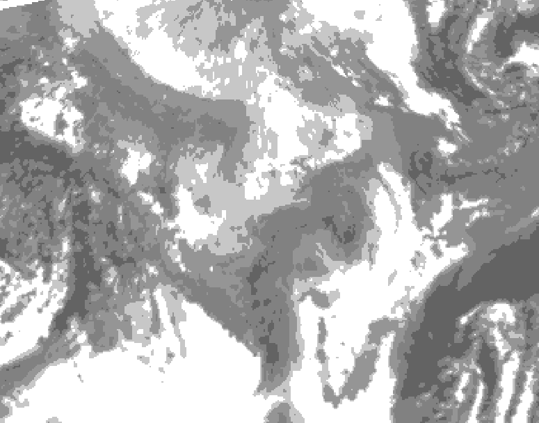 GDPS total cloud 024 hour forecast chart for Canada based on 2026/01/31 1200Z data