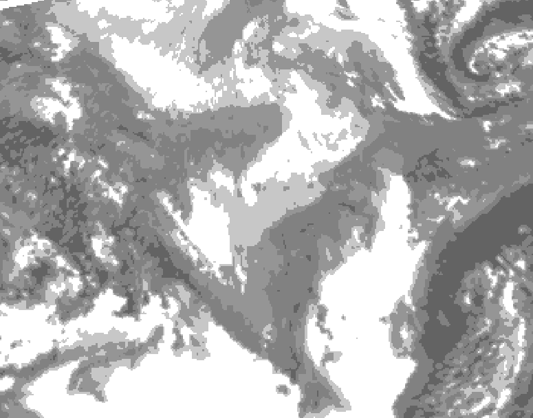 GDPS total cloud 036 hour forecast chart for Canada based on 2026/01/31 1200Z data