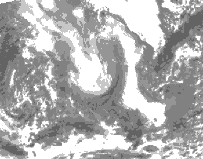 GDPS total cloud 240 hour forecast chart for Canada based on 2026/01/31 1200Z data