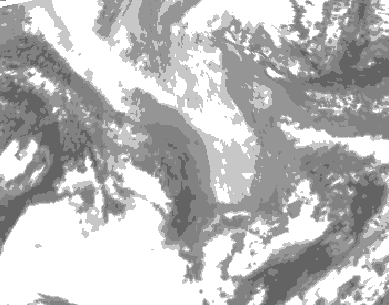 GDPS total cloud 024 hour forecast chart for Canada based on 2026/02/04 0000Z data