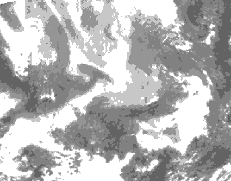 GDPS total cloud 222 hour forecast chart for Canada based on 2026/02/07 0000Z data