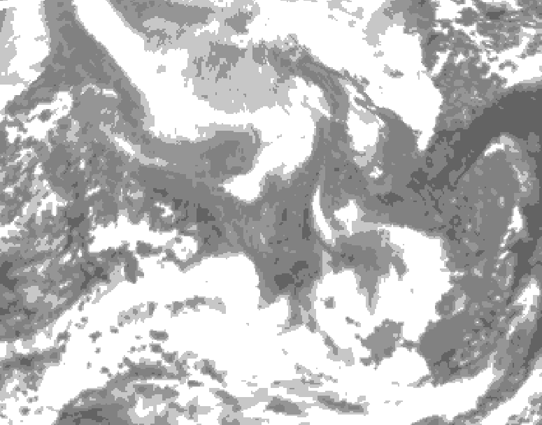 GDPS total cloud 042 hour forecast chart for Canada based on 2026/02/11 1200Z data