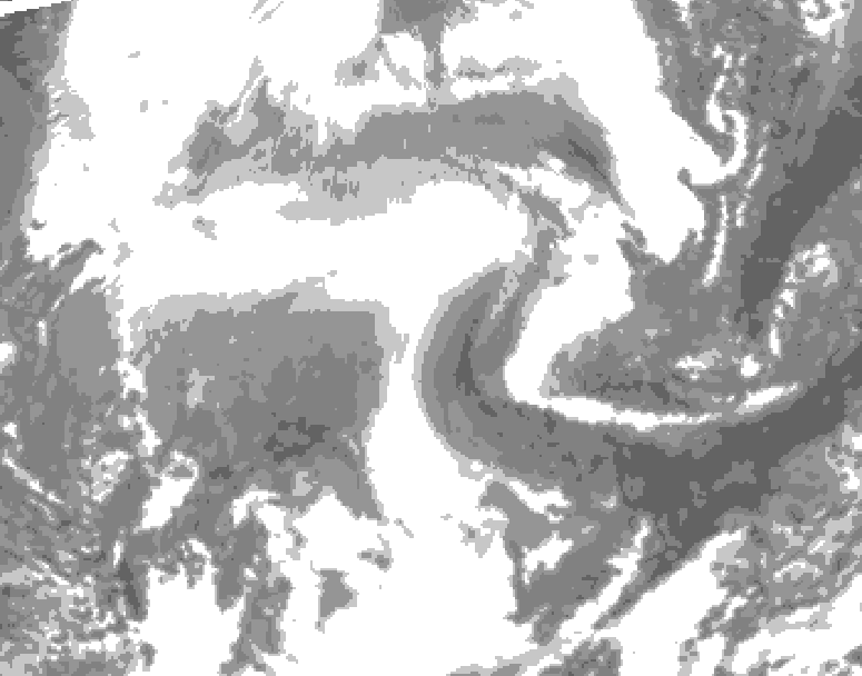 GDPS total cloud 240 hour forecast chart for Canada based on 2026/02/11 1200Z data
