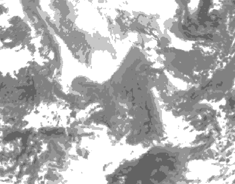 GDPS total cloud 024 hour forecast chart for Canada based on 2026/02/14 1200Z data