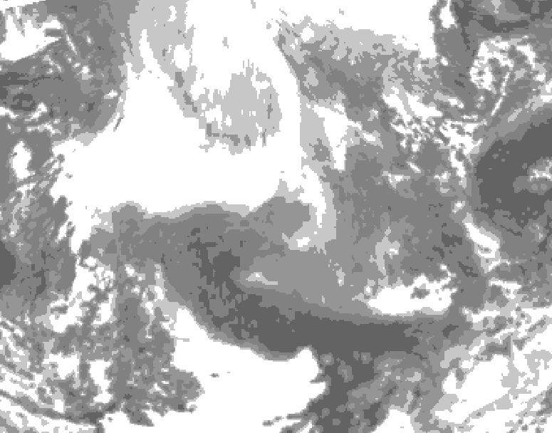 GDPS total cloud 024 hour forecast chart for Canada based on 2026/02/17 1200Z data