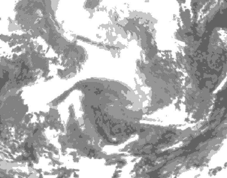 GDPS total cloud 024 hour forecast chart for Canada based on 2026/02/18 1200Z data