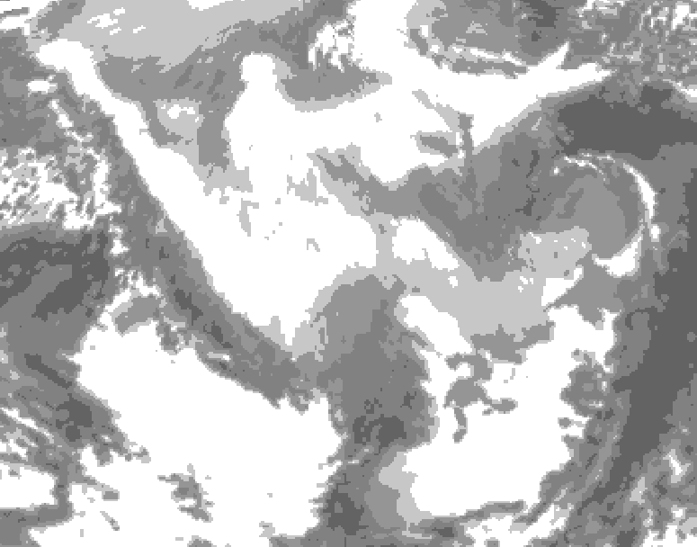 GDPS total cloud 222 hour forecast chart for Canada based on 2026/02/21 1200Z data