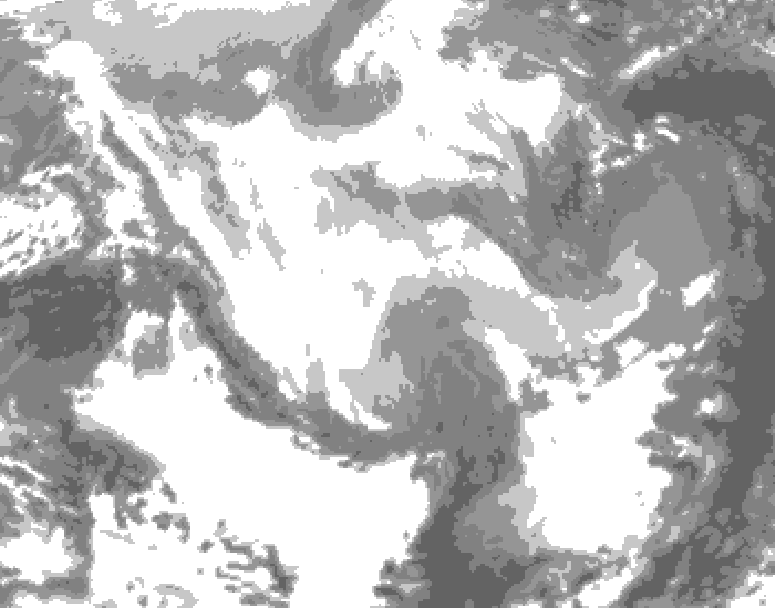 GDPS total cloud 228 hour forecast chart for Canada based on 2026/02/21 1200Z data