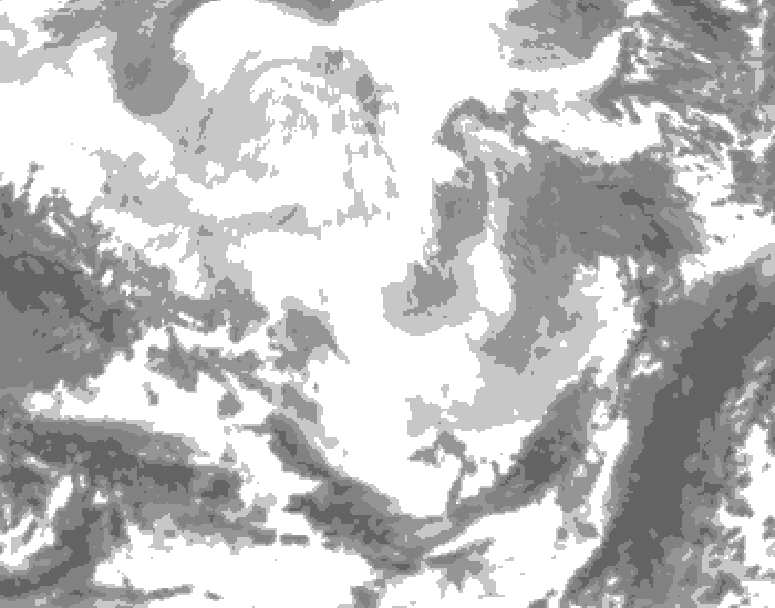 GDPS total cloud 132 hour forecast chart for Canada based on 2026/02/24 0000Z data