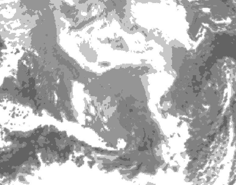 GDPS total cloud 012 hour forecast chart for Canada based on 2026/02/24 1200Z data