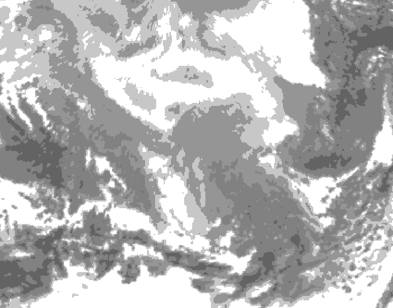 GDPS total cloud 024 hour forecast chart for Canada based on 2026/02/24 1200Z data