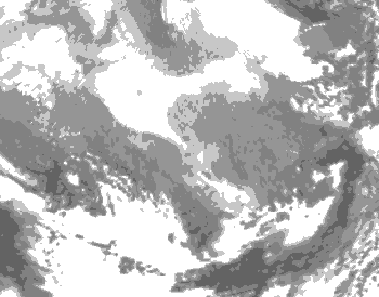 GDPS total cloud 048 hour forecast chart for Canada based on 2026/02/24 1200Z data