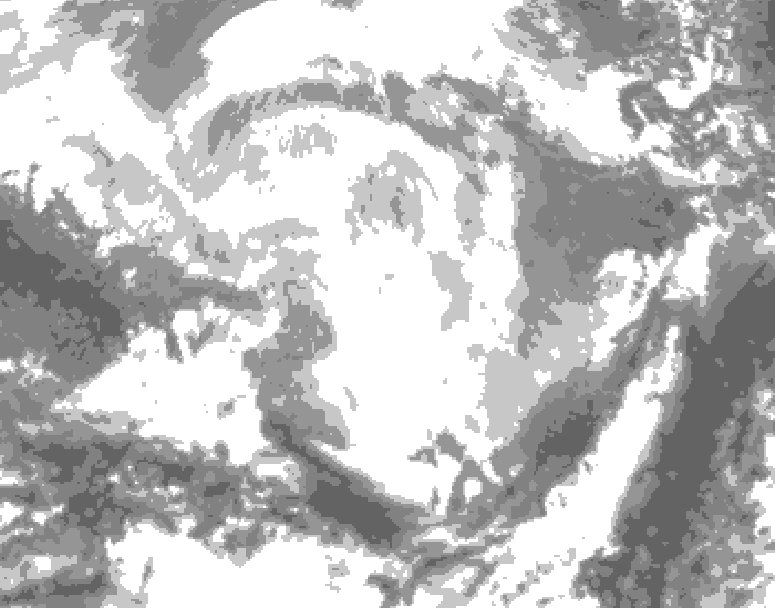 GDPS total cloud 120 hour forecast chart for Canada based on 2026/02/24 1200Z data