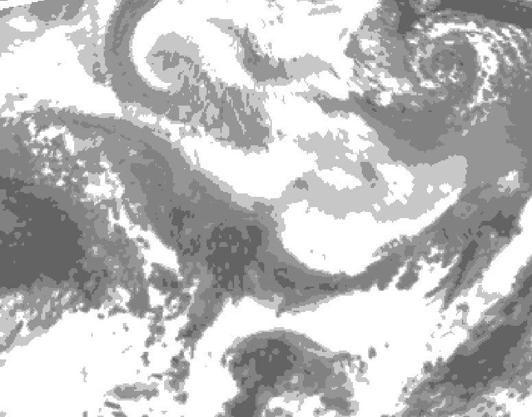 GDPS total cloud 222 hour forecast chart for Canada based on 2026/02/25 1200Z data