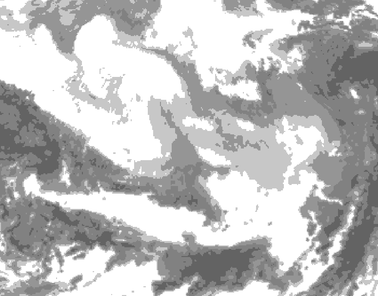 GDPS total cloud 048 hour forecast chart for Canada based on 2026/02/28 1200Z data