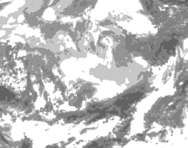 GDPS total cloud 042 hour forecast chart for Canada based on 2026/03/09 0000Z data