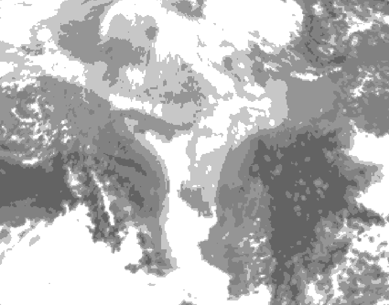 GDPS total cloud 132 hour forecast chart for Canada based on 2026/03/11 1200Z data