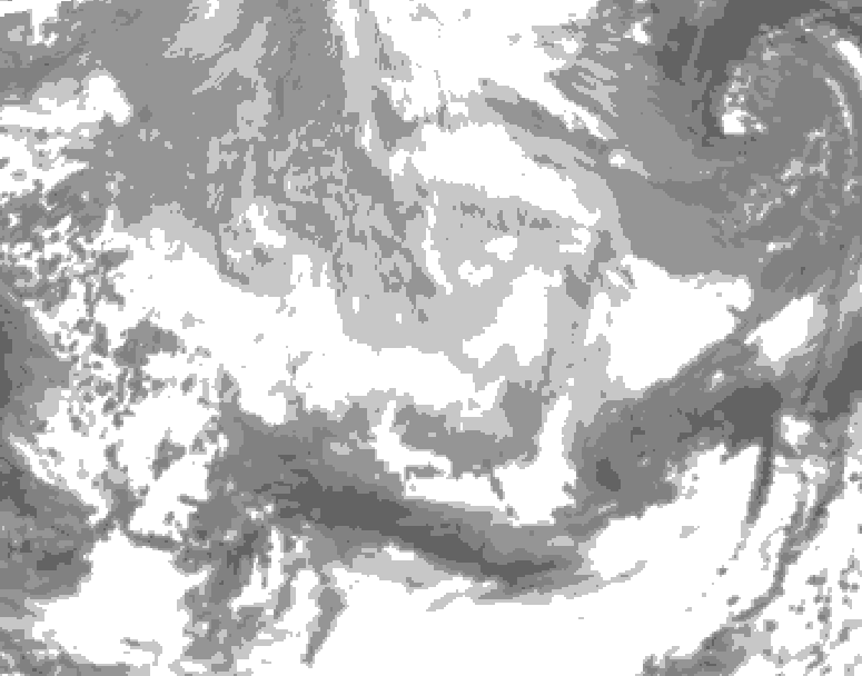 GDPS total cloud 042 hour forecast chart for Canada based on 2026/03/13 0000Z data