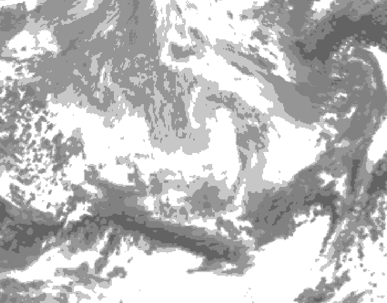 GDPS total cloud 024 hour forecast chart for Canada based on 2026/03/13 1200Z data