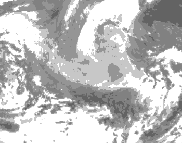 GDPS total cloud 048 hour forecast chart for Canada based on 2026/03/24 0000Z data