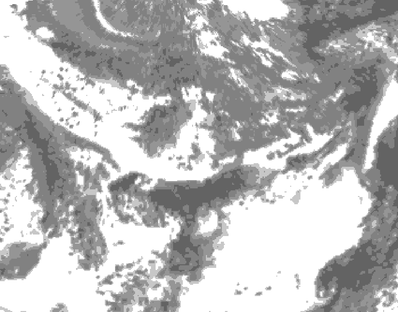 GDPS total cloud 072 hour forecast chart for Canada based on 2026/06/01 0000Z data