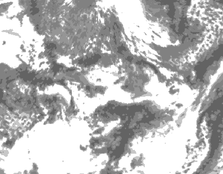 GDPS total cloud 024 hour forecast chart for Canada based on 2026/06/04 1200Z data