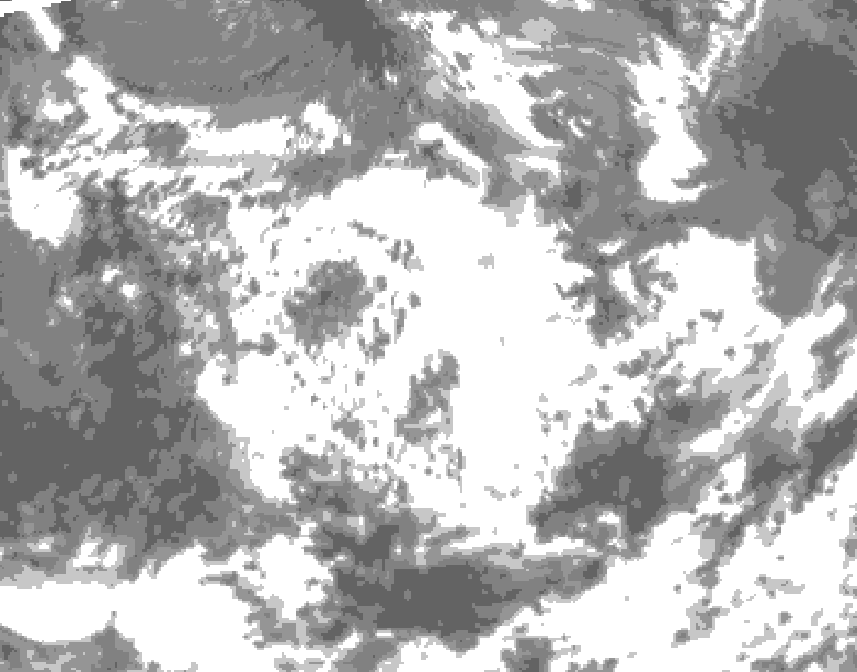 GDPS total cloud 042 hour forecast chart for Canada based on 2026/06/24 1200Z data