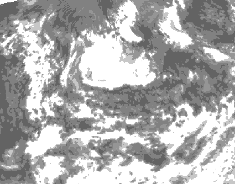 GDPS total cloud 036 hour forecast chart for Canada based on 2026/08/11 0000Z data