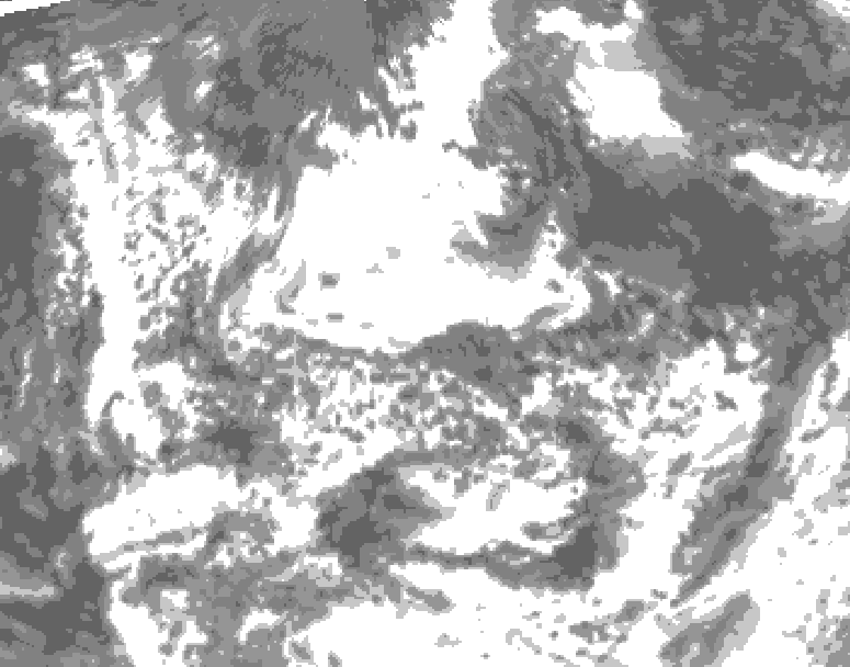 GDPS total cloud 036 hour forecast chart for Canada based on 2026/08/11 1200Z data