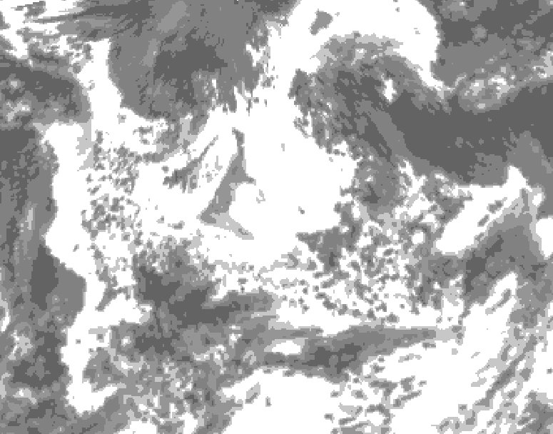 GDPS total cloud 024 hour forecast chart for Canada based on 2026/08/13 0000Z data