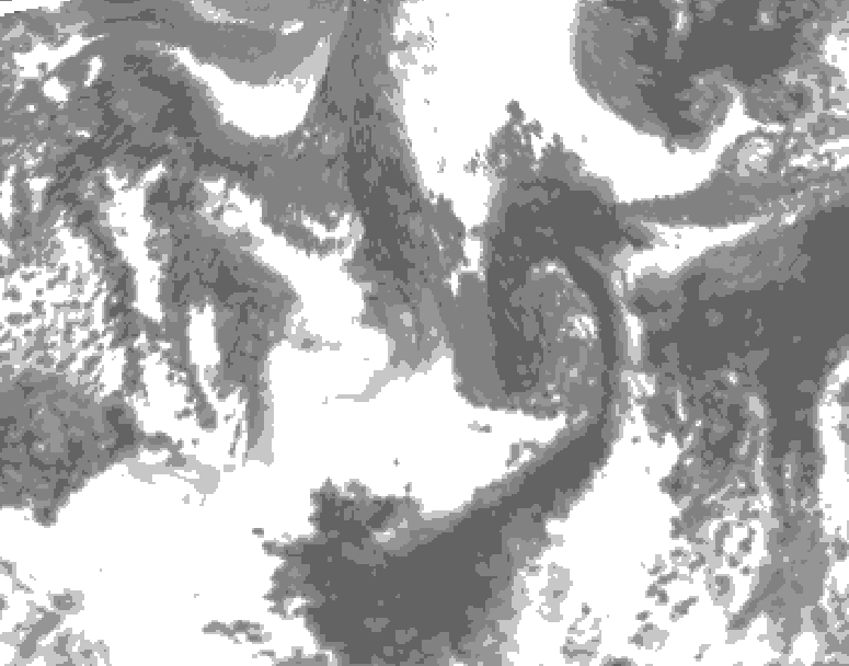 GDPS total cloud 234 hour forecast chart for Canada based on 2026/09/19 1200Z data