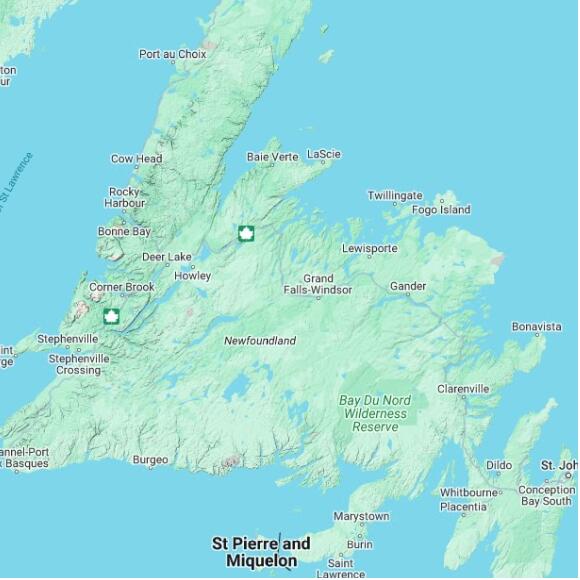 basemap 480 by 480 kilometres with centre at 49.0N 56.0W