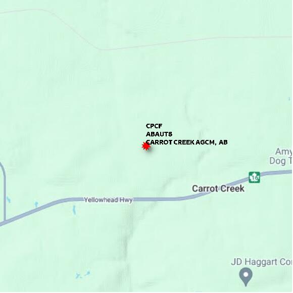 map at zoomlvl 10x10 kilometres for CARROT CREEK AGCM