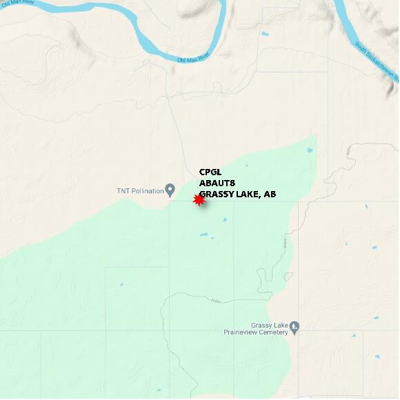 map at zoomlvl 10x10 kilometres for GRASSY LAKE