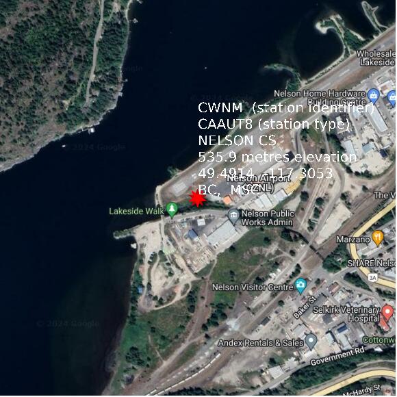 map at zoomlvl 1x1 kilometres for NELSON CS